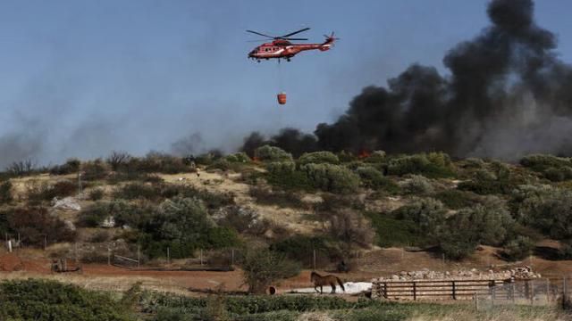 Масові лісові пожежі дісталися до столиці Греції: фоторепортаж