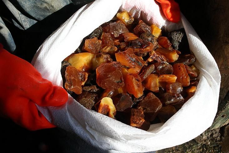 На Волыни изъяли янтаря на кругленькую сумму На Волыни изъяли янтаря на кругленькую сумму