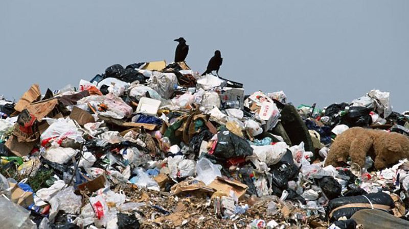 Украинские села страдают от мусора Украинские села страдают от мусора