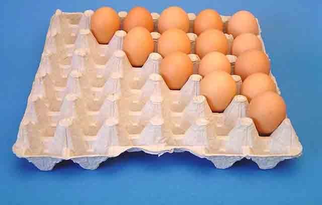В Евросоюзе бьют тревогу из-за токсичных яиц: продукт исчезает с полок магазинов