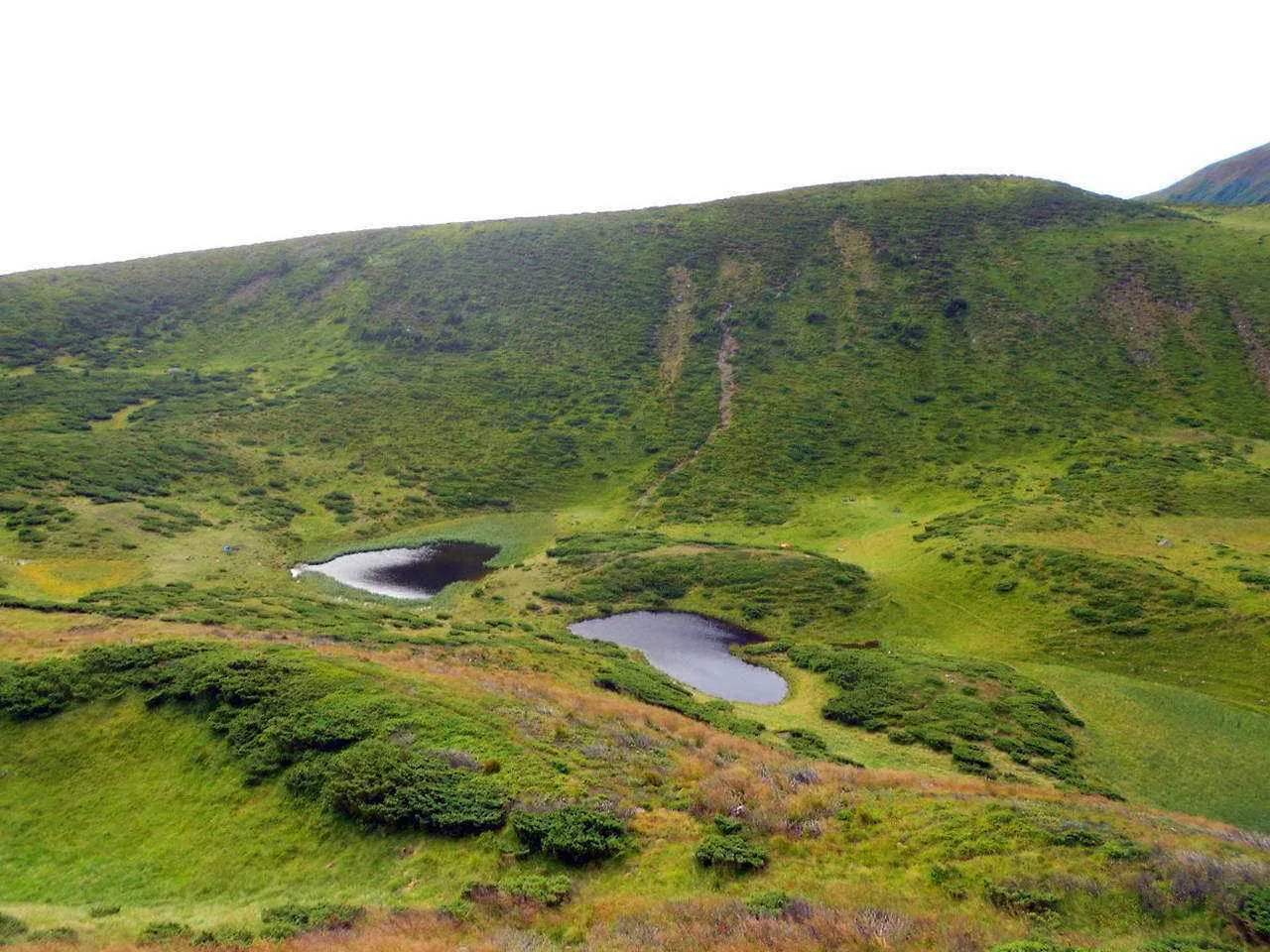 Озеро Драгобратське або Івор Озеро Драгобратське або Івор