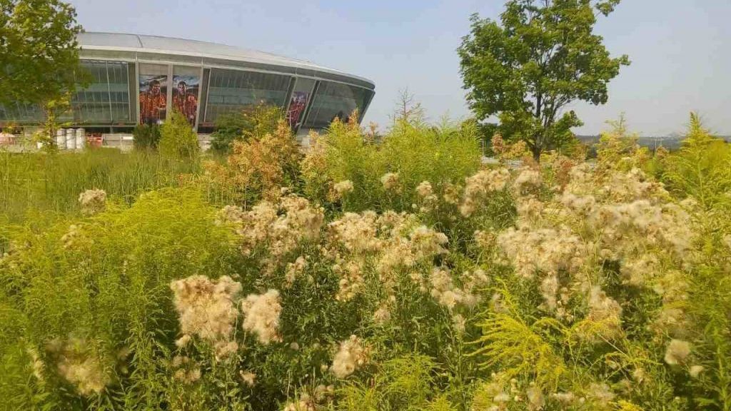 Террористы убивают Донецк: журналист опубликовал удручающие фото Террористы убивают Донецк: журналист опубликовал удручающие фото