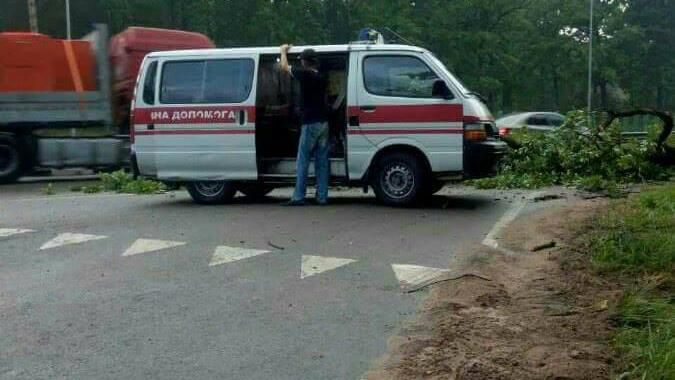 Шокирующая авария под Киевом: дерево стало причиной смерти мужчины Шокирующая авария под Киевом: дерево стало причиной смерти мужчины