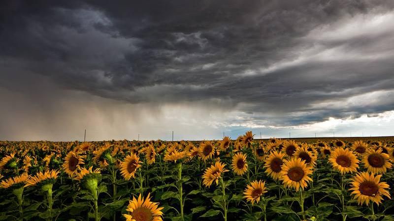 Штормове попередження на Київщині: синоптики застерегли про складні погодні умови Штормове попередження на Київщині: синоптики застерегли про складні погодні умови