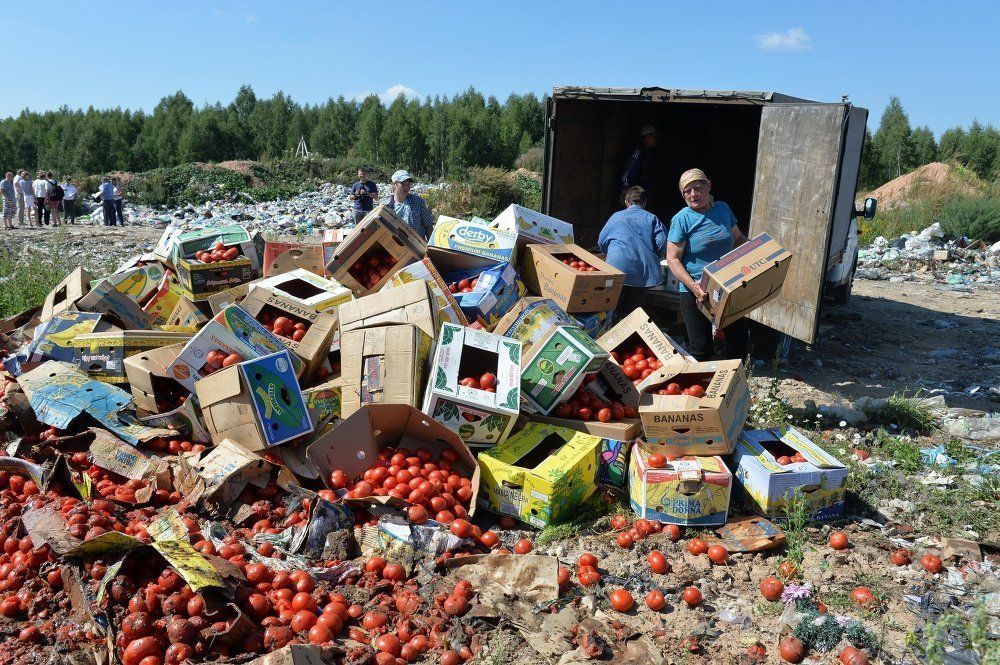 В Росії похизувалися кількістю знищених санкційних продуктів