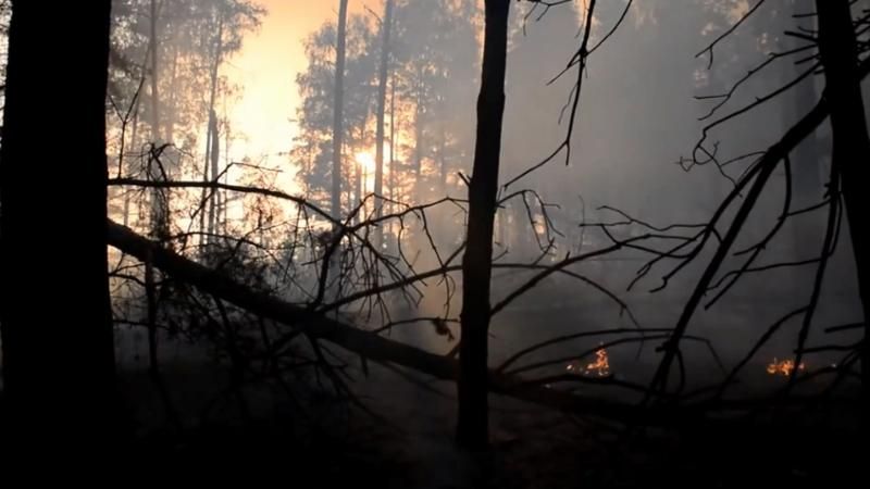 Всього за добу в Україні зафіксовано понад 300 пожеж

