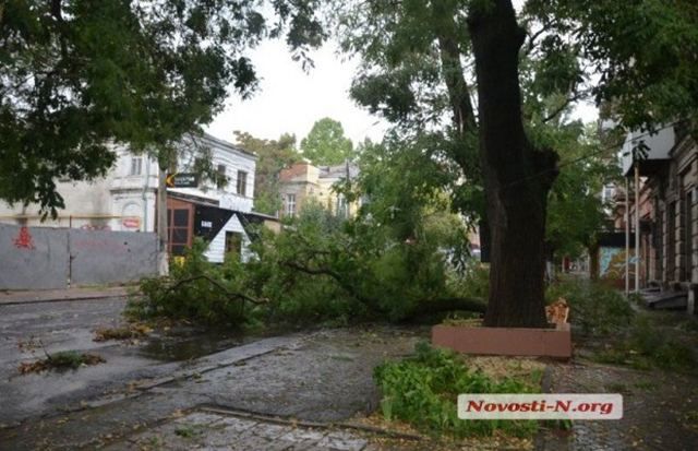 Мощный ливень освежил Николаев после жары и повалил деревья