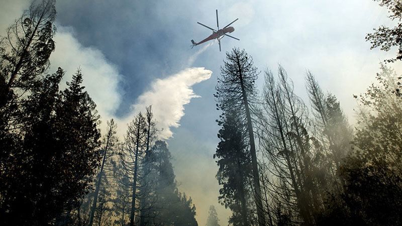 Под аннексированным Судаком уже вторые сутки пылает лес: к тушению привлекли вертолеты