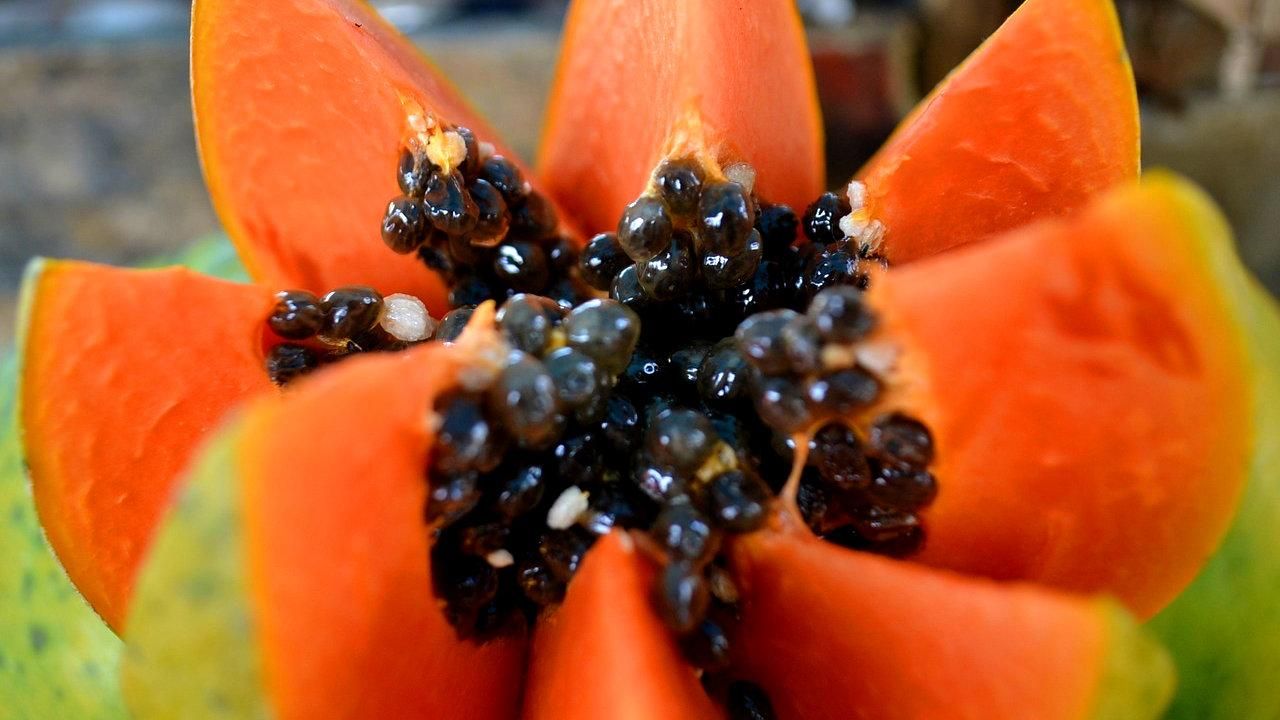 Понад сотня людей отруїлися екзотичним фруктом Понад сотня людей отруїлися екзотичним фруктом