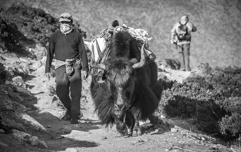 В Непале ритуально "выгоняют" женщин в течение менструации несмотря на уголовную ответственность В Непале ритуально "выгоняют" женщин в течение менструации несмотря на уголовную ответственность