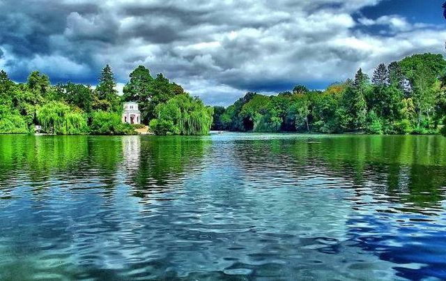 Дендропарки мрії в Україні, які варто відвідати Дендропарки мрії в Україні, які варто відвідати