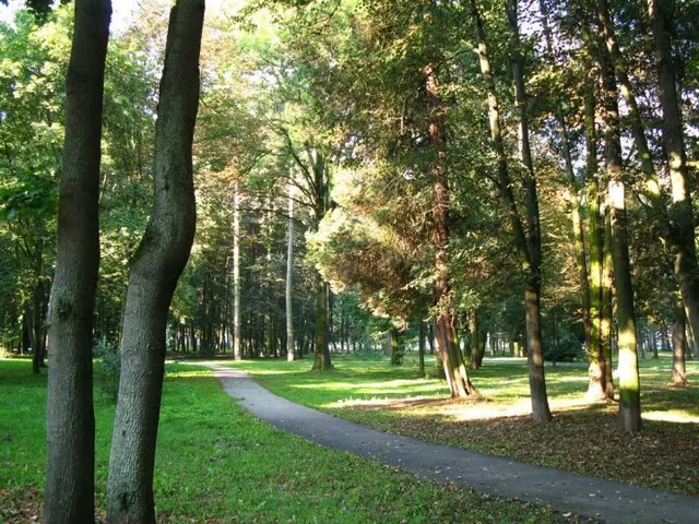 Дружба Тисменицький район Дружба Тисменицький район