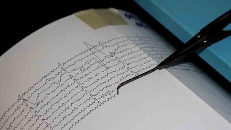 В Тихом океане произошло подводное землетрясение: есть погибшие и раненые В Тихом океане произошло подводное землетрясение: есть погибшие и раненые