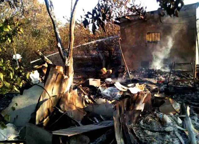 Масштабна пожежа сталась в дачному кооперативі на Одещині