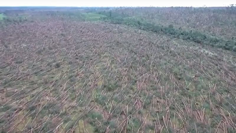 Смертельний буревій у Польщі: наслідки негоди показали з висоти пташиного польоту
