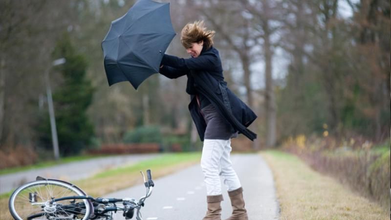 Будьте обережні: синоптики попередили про шквальний вітер та грози у Києві Будьте обережні: синоптики попередили про шквальний вітер та грози у Києві