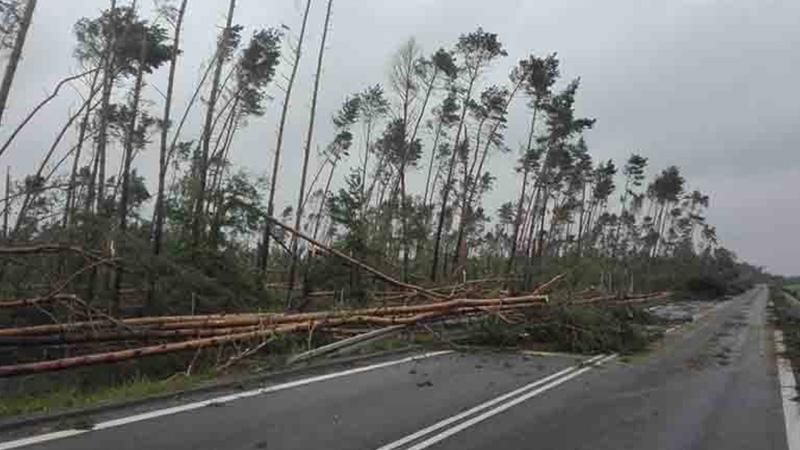 Смертельная непогода в Польше: число погибших снова выросло Смертельная непогода в Польше: число погибших снова выросло