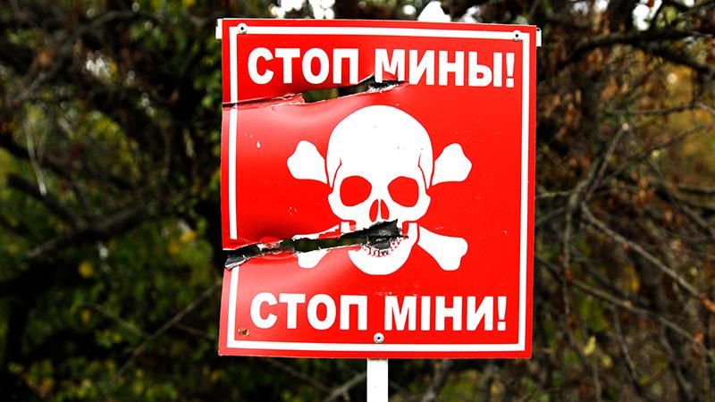 На Луганщині дитина постраждала від вибуху невідомого предмету На Луганщині дитина постраждала від вибуху невідомого предмету