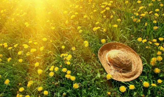 Погода на 16 серпня в Україні знову спека Погода на 16 серпня в Україні знову спека