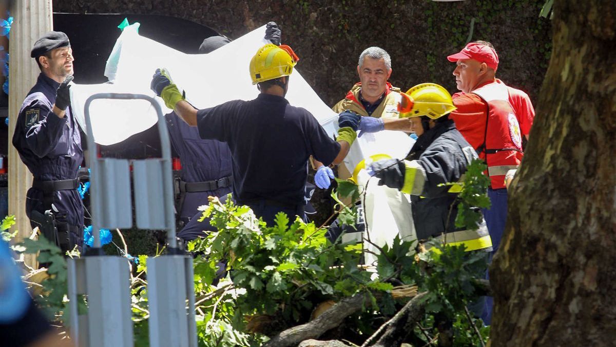 От падения дерева 13 человек погибли в Португалии