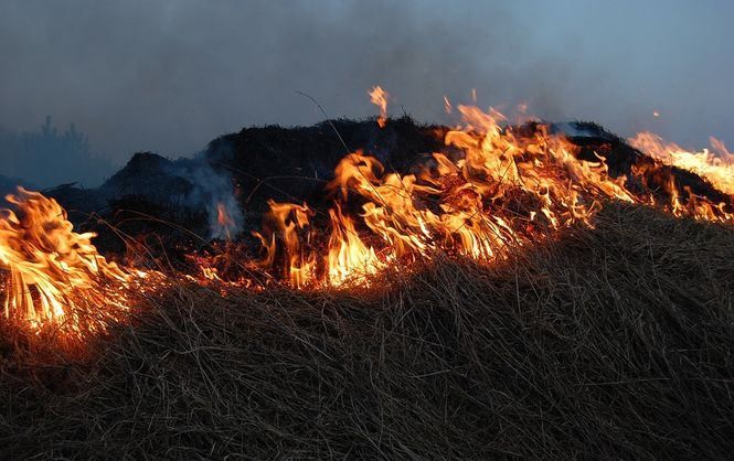 Боевики поджигают позиции ВСУ на востоке Украины