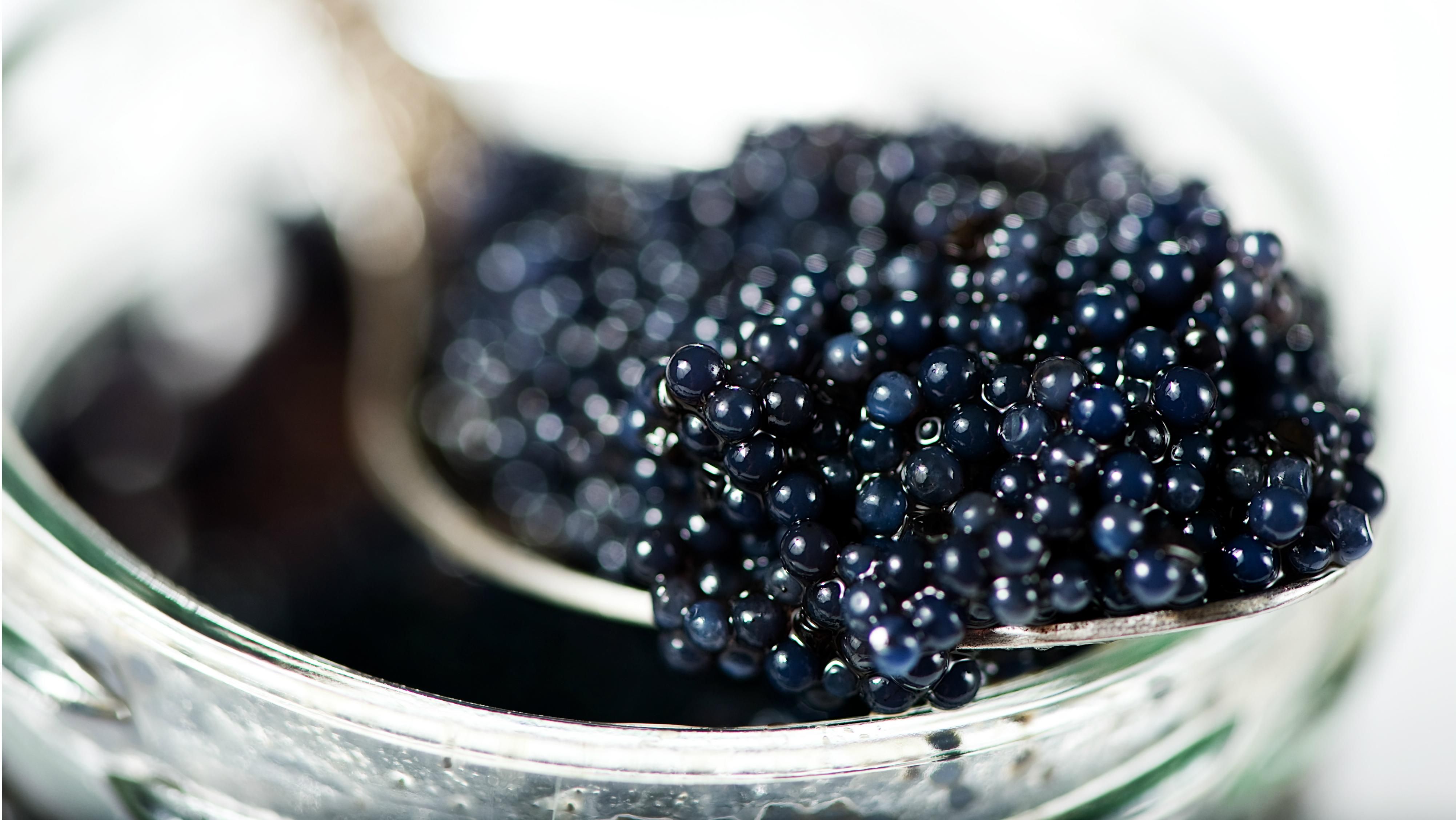 Село на Киевщине готовит деликатес, который покупают Франция и Китай Село на Киевщине готовит деликатес, который покупают Франция и Китай