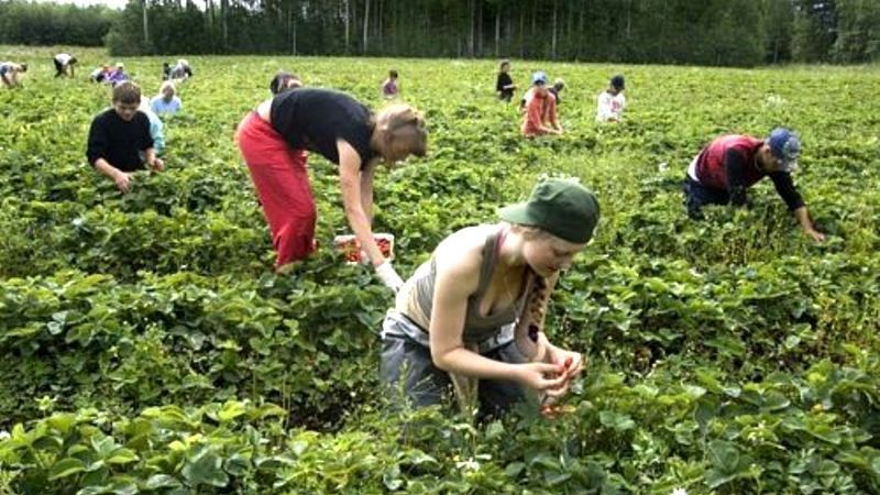 Польша депортирует несколько десятков украинцев Польша депортирует несколько десятков украинцев