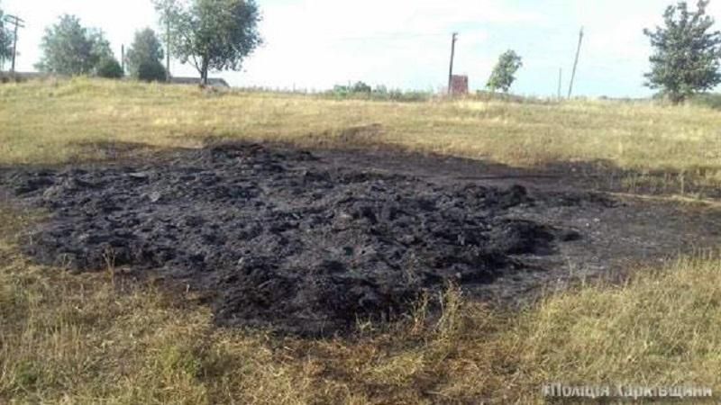 На Харьковщине из-за игры с огнем умер ребенок