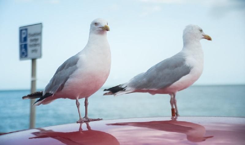 Прогноз погоди на 25 серпня в Україні Прогноз погоди на 25 серпня в Україні