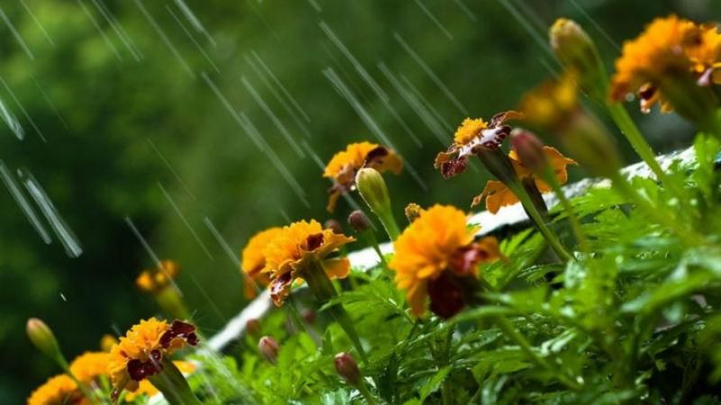 Погода на 28 августа в Украине: прогноз погоды Погода на 28 августа в Украине: прогноз погоды