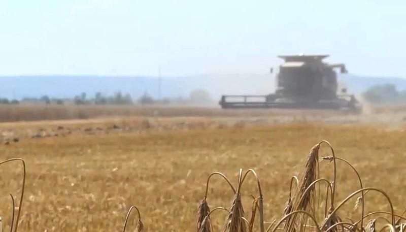 Антирейдерські штаби: як держава боротиметься із "земельними зловмисниками"
Антирейдерські штаби: як держава боротиметься із "земельними зловмисниками"