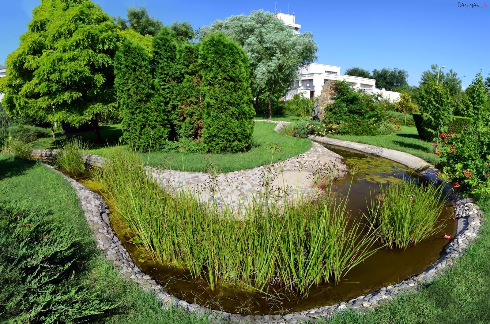 У затінок: Неймовірні дендропарки в Україні У затінок: Неймовірні дендропарки в Україні