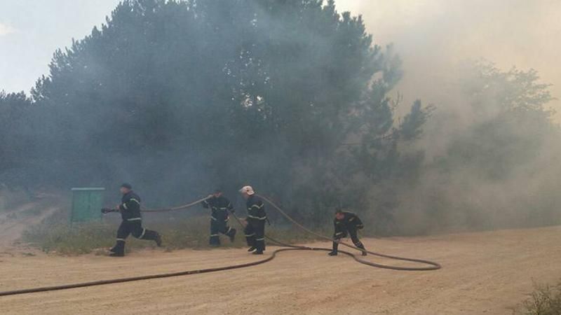 Одразу в двох областях спалахнули лісові пожежі: з'явилися фото 