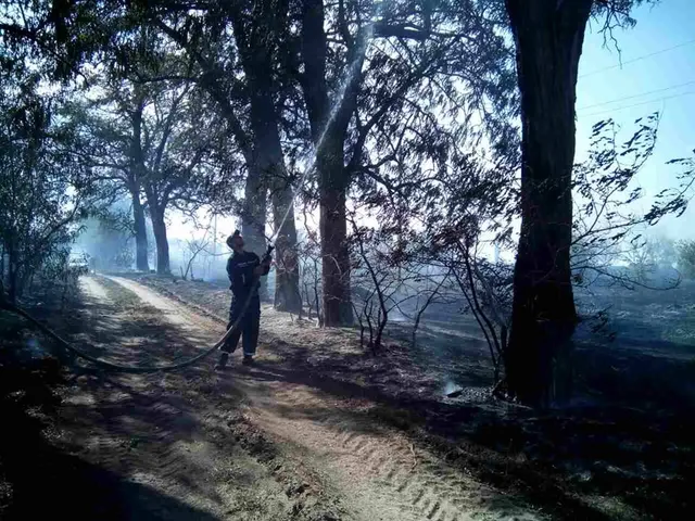 Рятувальники борються з лісовими пожежами Рятувальники борються з лісовими пожежами