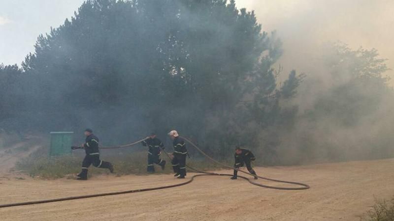 Сразу в двух областях вспыхнули лесные пожары: появились фото