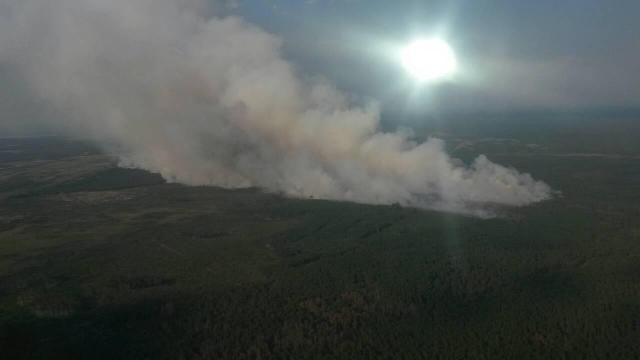 На Житомирщині горять заповідні ліси: фото