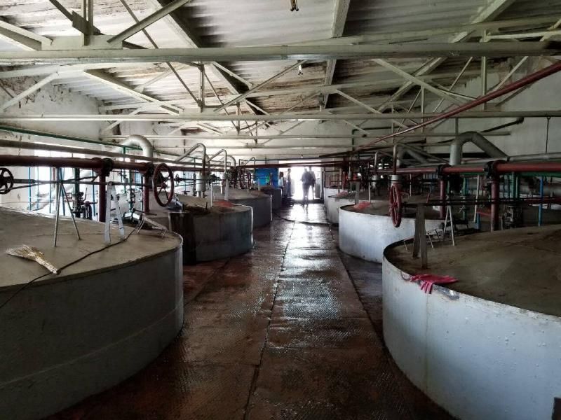 Обыски на спиртзаводах: правоохранители изъяли сырья на 540 миллионов гривен Обыски на спиртзаводах: правоохранители изъяли сырья на 540 миллионов гривен