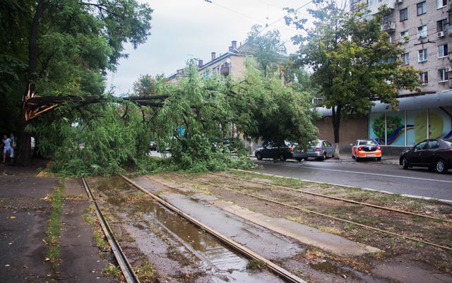 Потужна злива з градом атакували Дніпро: негода поламала дерева