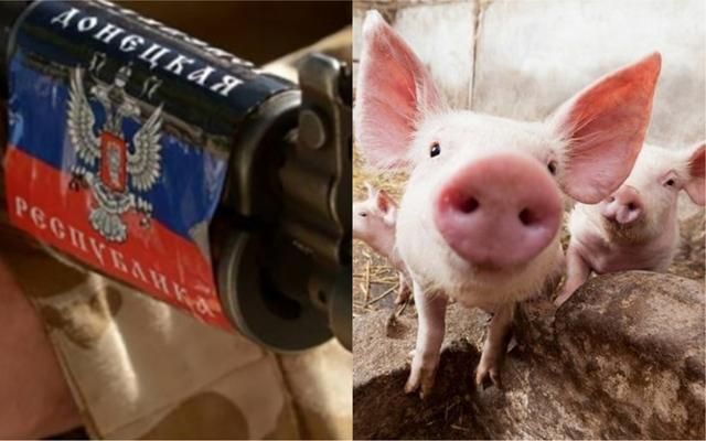 Боевики "ДНР" объявили России "свиную" блокаду, – журналист Боевики "ДНР" объявили России "свиную" блокаду, – журналист