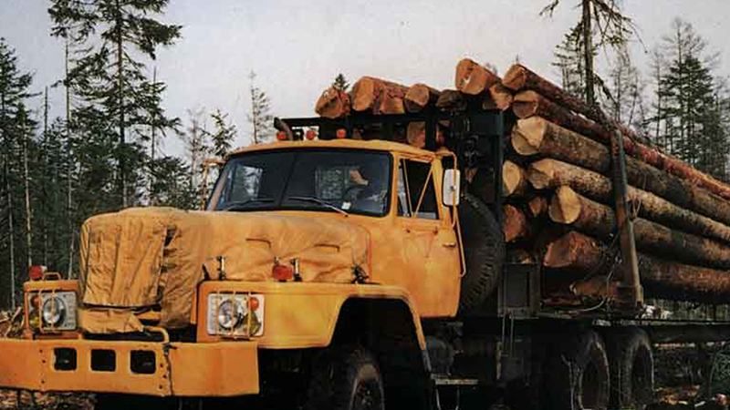 Вантажівка з лісом зірвалася у прірву на Закарпатті: є загиблі 