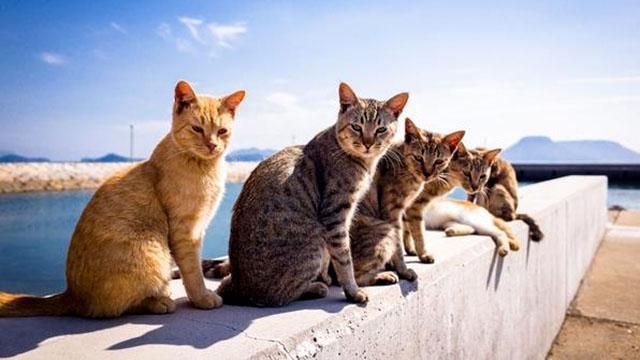 Когда ждать очередное серьезное снижение температуры: прогноз от синоптика