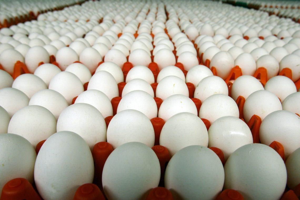 В Угорщині знайшли величезні партії отруєних яєць