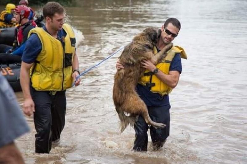 В США бушует беспрецедентный шторм: щемящие фото из соцсетей В США бушует беспрецедентный шторм: щемящие фото из соцсетей