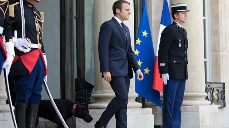 В Елисейском дворце – новый хозяин: Макроны взяли питомца из приюта В Елисейском дворце – новый хозяин: Макроны взяли питомца из приюта