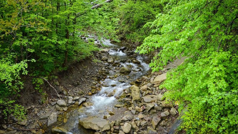 Аварія вертольота на Прикарпатті: стало відомо ім'я загиблого Аварія вертольота на Прикарпатті: стало відомо ім'я загиблого