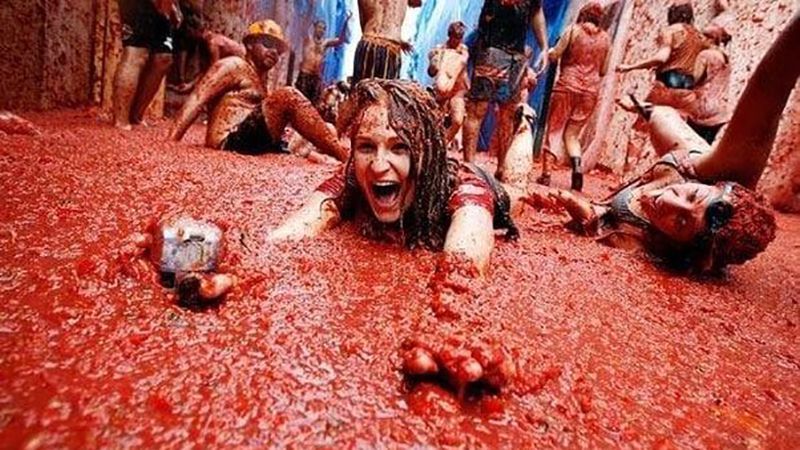 Испания готовится к томатным боям Испания готовится к томатным боям