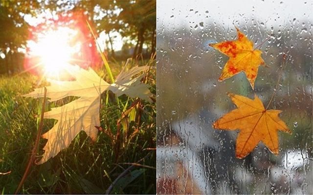 Погода на 1 вересня в Україні: тепло та з дощі