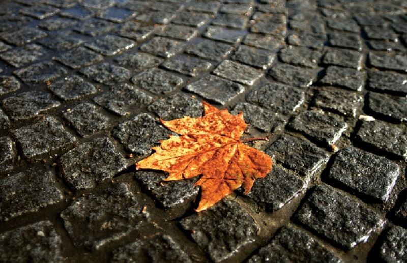 Погода на 3 сентября в Украине: прогноз погоды от синоптиков Погода на 3 сентября в Украине: прогноз погоды от синоптиков