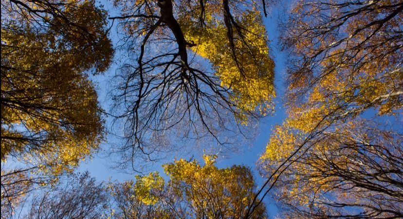 Прогноз погоды 2 сентября в Украине: осеннее солнце и дожди Прогноз погоды 2 сентября в Украине: осеннее солнце и дожди