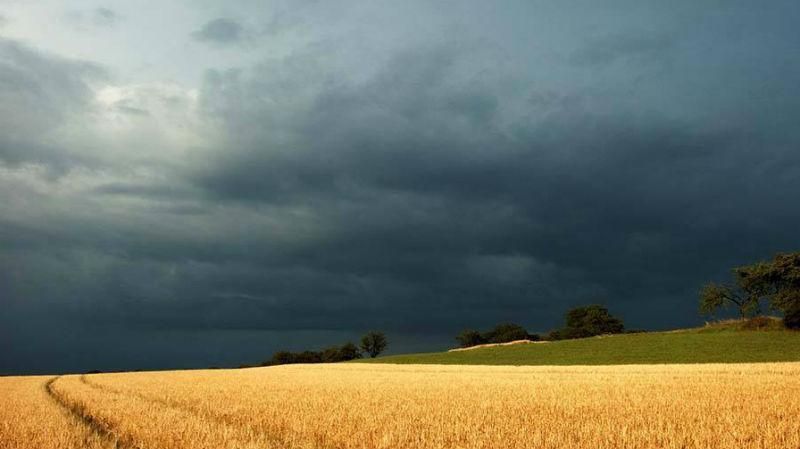 На Украину надвигается шторм - 3 сентября 2017 - Телеканал новин 24 На Украину надвигается шторм - 3 сентября 2017 - Телеканал новин 24